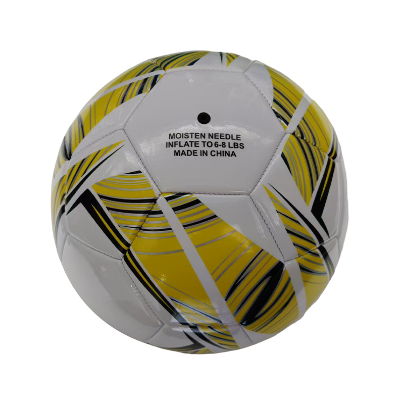 SMPVC00010